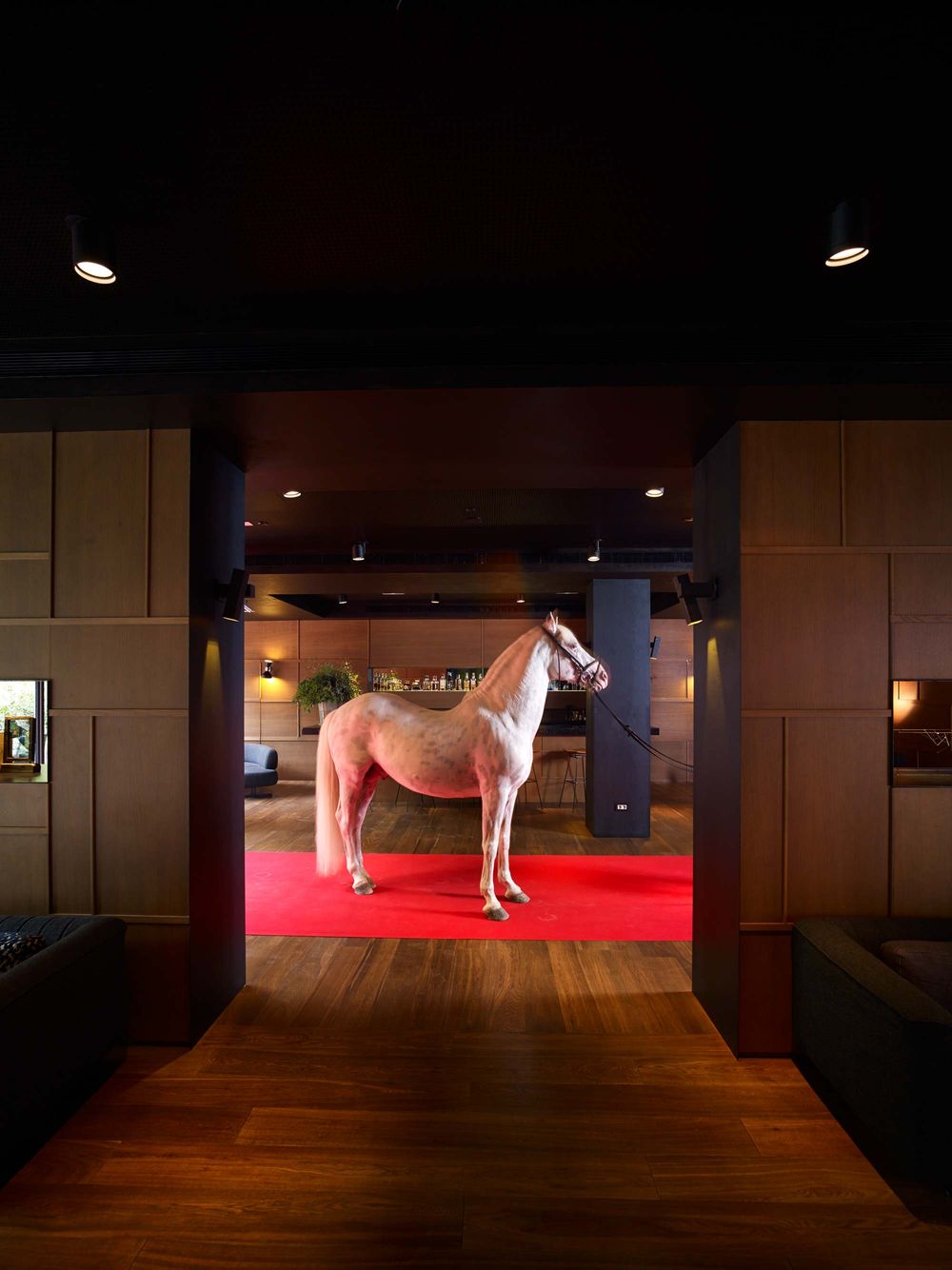 Grup Alma Hotels (direcció d’art, disseny gràfic, identitat, hotel, web), per DOMO-A | Direcció d’art i disseny gràfic, Barcelona