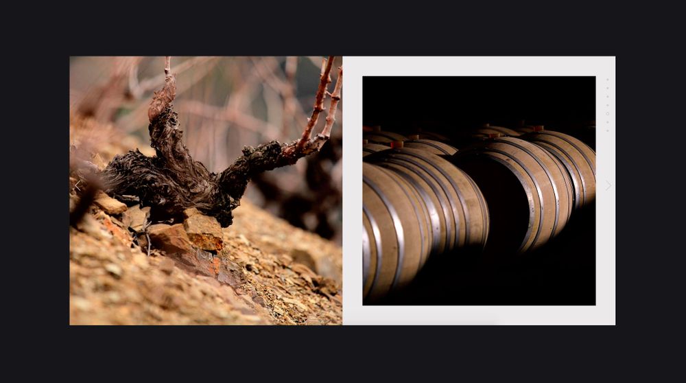 Merum Priorati (disseny gràfic, gastronomia, vinyes, web), per DOMO-A | Direcció d’art i disseny gràfic, Barcelona